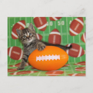 パットン遊サッカー – Catポストカード ポストカード