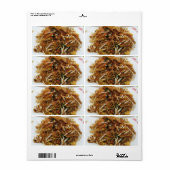 パッドタイ[ผัดไทย]タイ通り食品 ラベル (フルシート)