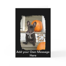 パップをトリック/トリート