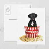 パップコーンの誰か？ ポストカード (正面/裏面)