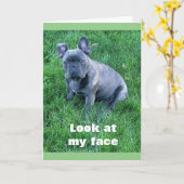 パッ救済プス**ハッピーバースデーツイン**カード カード (黄色い花)