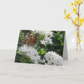 パッ絵を描チ蝶グリーティングカード カード (黄色い花)