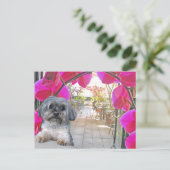 パティオカフェはがき ポストカード (スタンド正面)