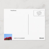 パティオバラと引用文はがき ポストカード (裏面)