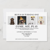 パティタイムドッグをテーマにした誕生日5フォトカード 招待状 (裏面)