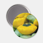 パティパンスカッシュ マグネット (正面/裏面)