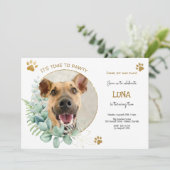 パティーで犬の誕生日パーティーしよう 招待状 (スタンド正面)