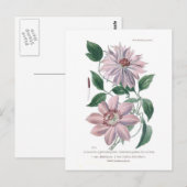 パテンスのクレマチス ポストカード (正面/裏面)