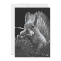 パディケーキ、リス