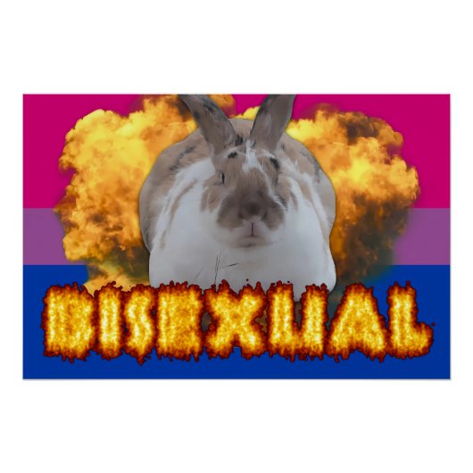 パディプライドポスター（バイセクシャル） ポスター (正面)