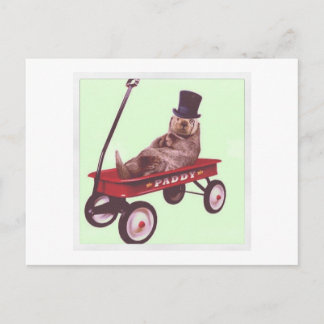 パディワゴン葉書 ポストカード