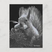 パディーケーキ、リス ポストカード (正面)