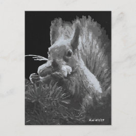 パディーケーキ、リス ポストカード