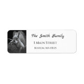 パディーケーキ、リス ラベル (正面)