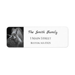 パディーケーキ、リス ラベル