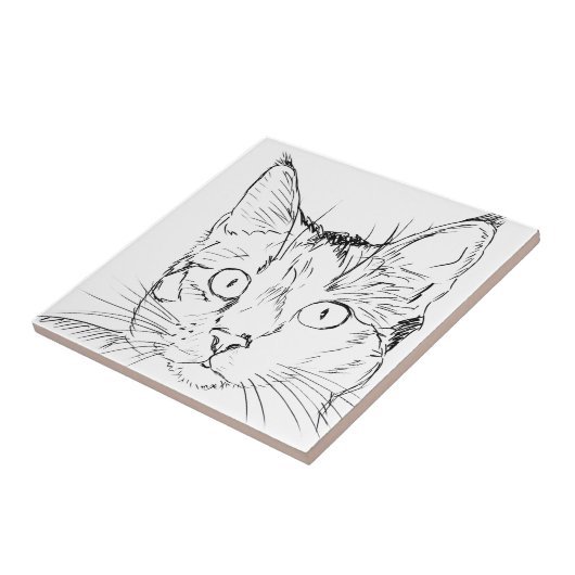 パディ猫 タイル (側面)