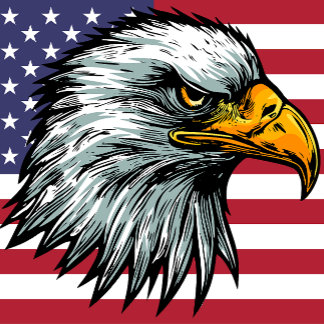 パトリオットのハゲのTシャツ Tシャツ