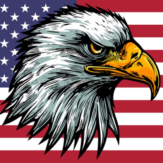 パトリオットのハゲのTシャツ Tシャツ