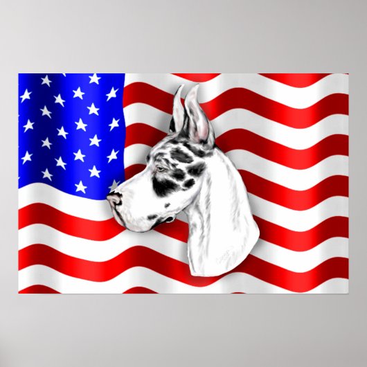 パトリオットダン・ハレのポスター ポスター (正面)