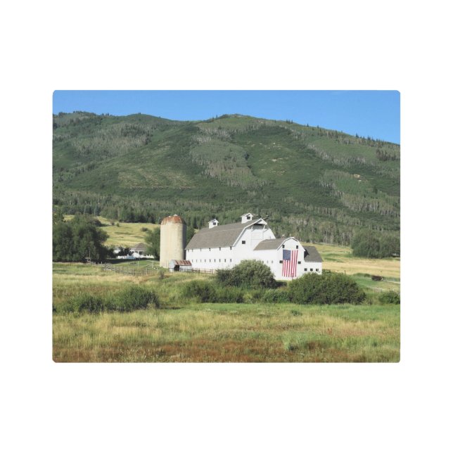 パトリオットバーンパークシティユタ メタルプリント (正面)