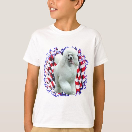 パトリオット Tシャツ (正面)