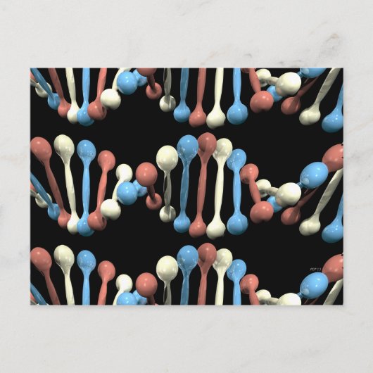 パトリオDNA ポストカード (正面)