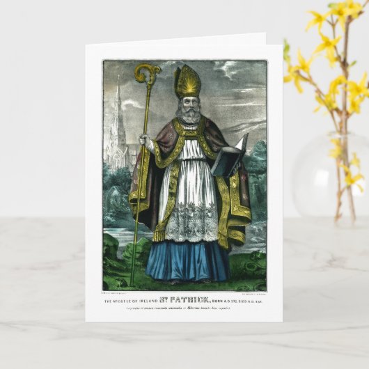 パトリキウス カード (黄色い花)