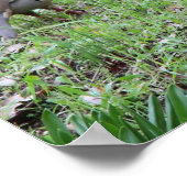 パトリッジ ポスター (角)