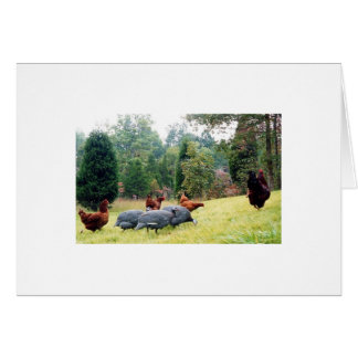 パトロールのチェスター及び彼の軍隊