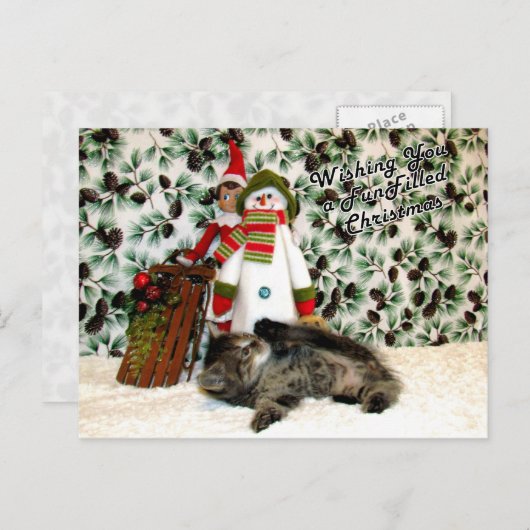 パトンのおもしろいが満杯のクリスマス – 猫/子猫 シーズンポストカード (正面/裏面)