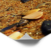 パトンガ砂 ポスター (角)