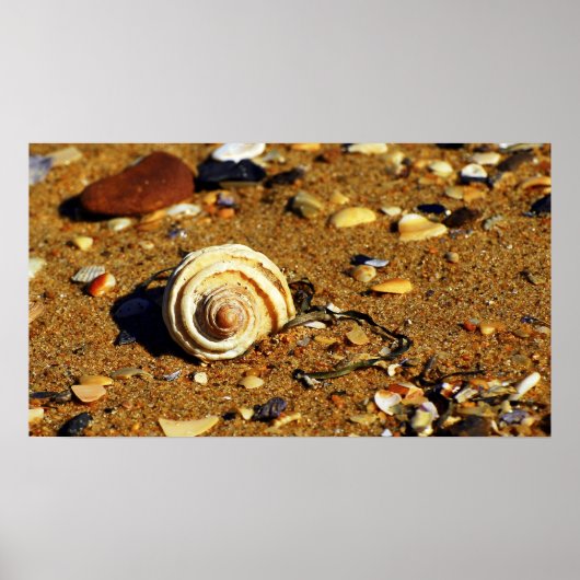 パトンガ砂 ポスター (正面)