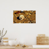 パトンガ砂 ポスター (キッチン)