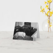 パトン将軍のブル・テリア「ウィリー」 カード (黄色い花)