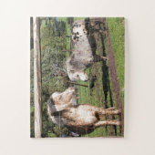 パドックに二つのミニチュアポニー ジグソーパズル (縦)