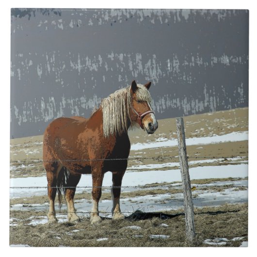 パドック荷車を引くセラミックタイルにベルギーの馬 タイル (正面)