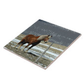 パドック荷車を引くセラミックタイルにベルギーの馬 タイル (側面)