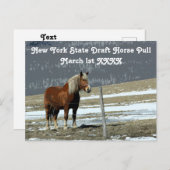 パドック荷車を引くハガキにベルギーの馬 ポストカード (正面/裏面)