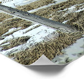 パドック荷車を引くポスターにベルギーの馬 ポスター (角)