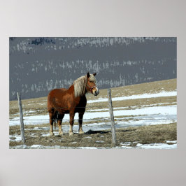 パドック荷車を引くポスターにベルギーの馬 ポスター