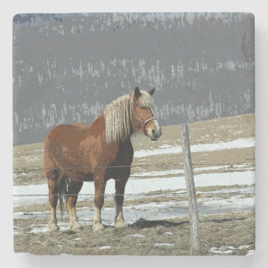 パドック荷車を引く石コースターにベルギーの馬 ストーンコースター (正面)