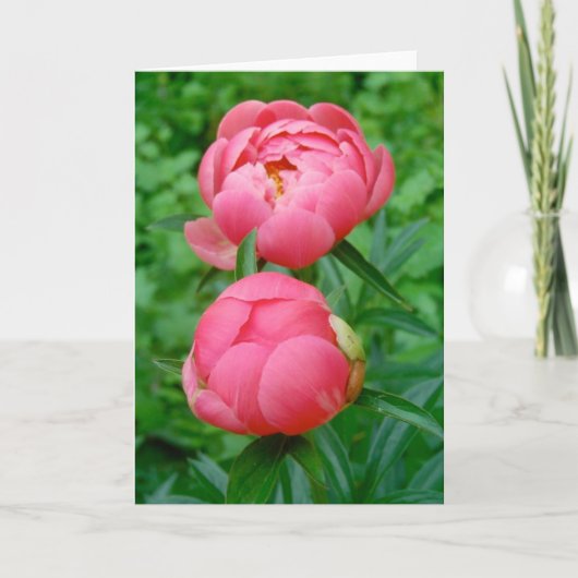 パドドゥー カード (正面)