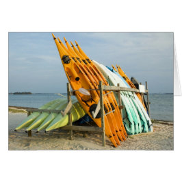 パドラーズカード用カヤック