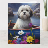 パドルにハバニーズ:風光明媚な冒険 カード (正面)