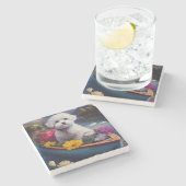 パドルに乗ったビコンフリーズ：風光明媚な冒険 ストーンコースター (横)