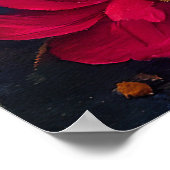 パドルのグレイハウンド：風光明媚な冒険 ポスター (角)