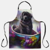 パドルのニューファンドランド:風光明媚な冒険 エプロン (正面)