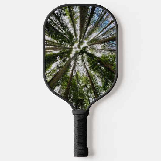 パドルを見上げる ピックルボールラケット (正面)