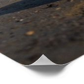 パドルボードに敷設されるゴールデンレトリバー犬 ポスター (角)