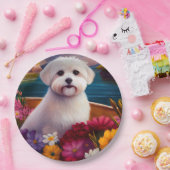 パドルマルチーズ：風光明媚な冒険 ペーパープレート (パーティー)